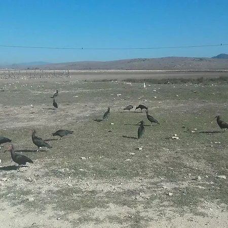 De Cine Lägenhet Barbate